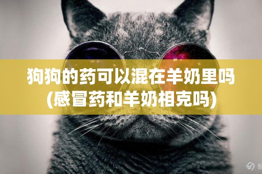 狗狗的藥可以混在羊奶里嗎(感冒藥和羊奶相克嗎)