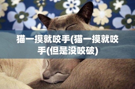 貓一摸就咬手(貓一摸就咬手(但是沒咬破)