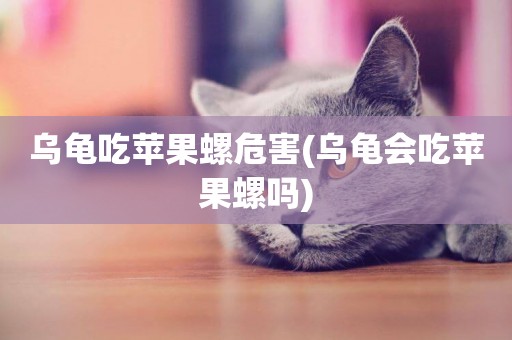 烏龜吃蘋果螺危害(烏龜會吃蘋果螺嗎)