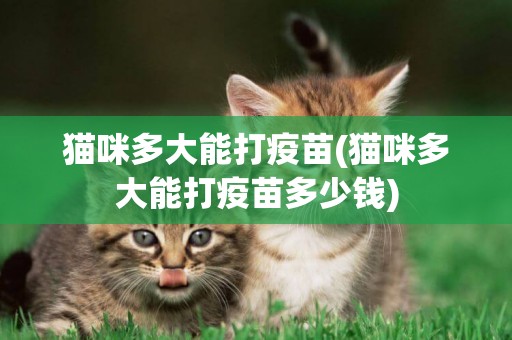 貓咪多大能打疫苗(貓咪多大能打疫苗多少錢)