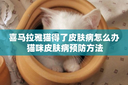 喜馬拉雅貓得了皮膚病怎么辦 貓咪皮膚病預防方法