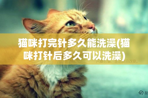 貓咪打完針多久能洗澡(貓咪打針后多久可以洗澡)