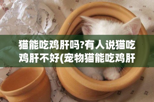 貓能吃雞肝嗎?有人說貓吃雞肝不好(寵物貓能吃雞肝嗎)