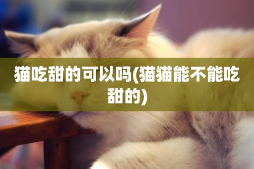 貓吃甜的可以嗎(貓貓能不能吃甜的)