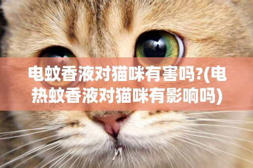 電蚊香液對貓咪有害嗎?(電熱蚊香液對貓咪有影響嗎)