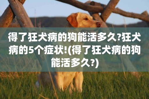 得了狂犬病的狗能活多久?狂犬病的5個癥狀!(得了狂犬病的狗能活多久?)