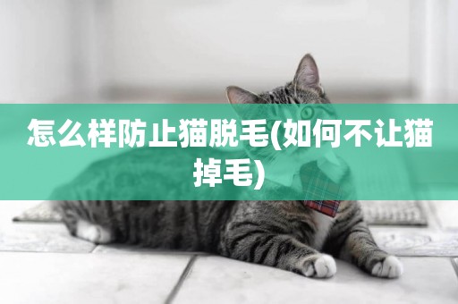 怎么樣防止貓脫毛(如何不讓貓掉毛)