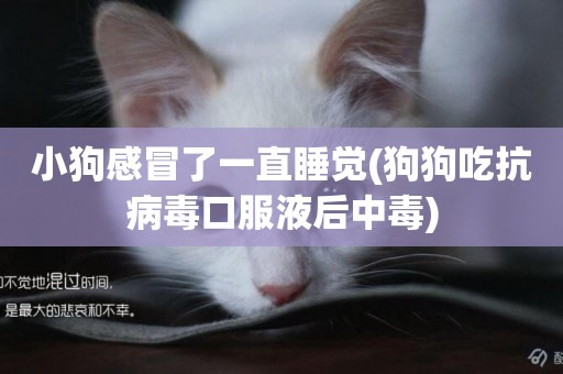 小狗感冒了一直睡覺(狗狗吃抗病毒口服液后中毒)