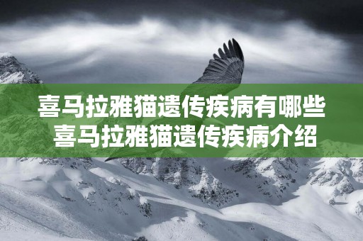 喜馬拉雅貓遺傳疾病有哪些 喜馬拉雅貓遺傳疾病介紹