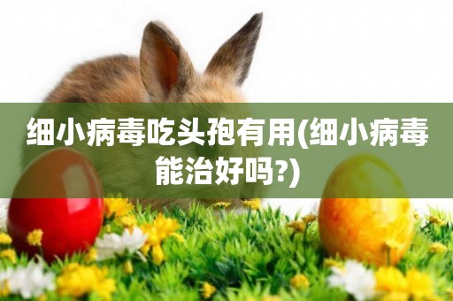 細小病毒吃頭孢有用(細小病毒能治好嗎?)