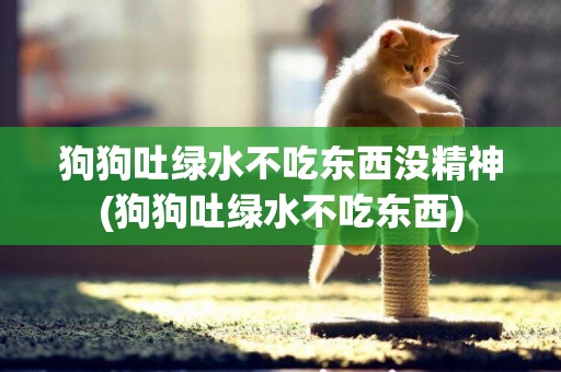 狗狗吐綠水不吃東西沒精神(狗狗吐綠水不吃東西)
