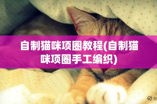 自制貓咪項圈教程(自制貓咪項圈手工編織)