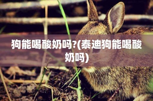 狗能喝酸奶嗎?(泰迪狗能喝酸奶嗎)