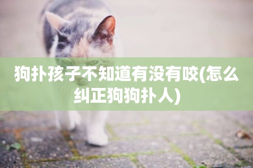 狗撲孩子不知道有沒有咬(怎么糾正狗狗撲人)