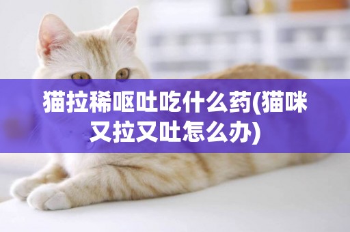貓拉稀嘔吐吃什么藥(貓咪又拉又吐怎么辦)
