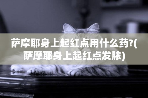 薩摩耶身上起紅點用什么藥?(薩摩耶身上起紅點發膿)