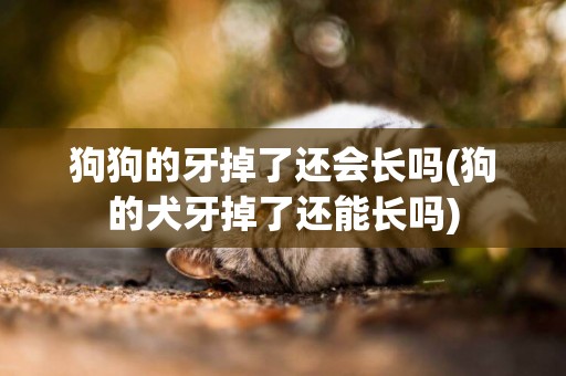 狗狗的牙掉了還會長嗎(狗的犬牙掉了還能長嗎)