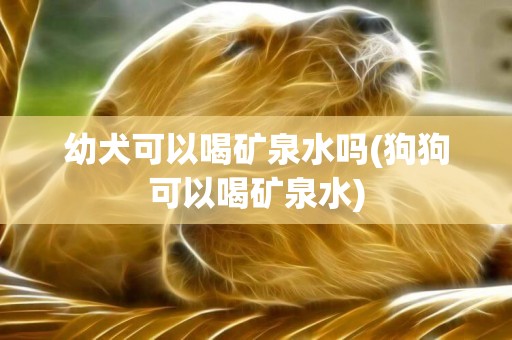 幼犬可以喝礦泉水嗎(狗狗可以喝礦泉水)