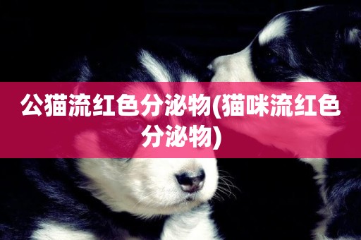 公貓流紅色分泌物(貓咪流紅色分泌物)