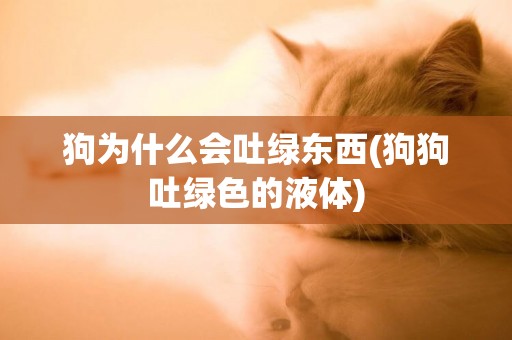 狗為什么會吐綠東西(狗狗吐綠色的液體)
