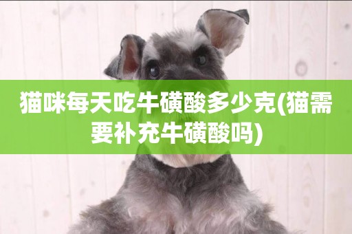 貓咪每天吃牛磺酸多少克(貓需要補充牛磺酸嗎)