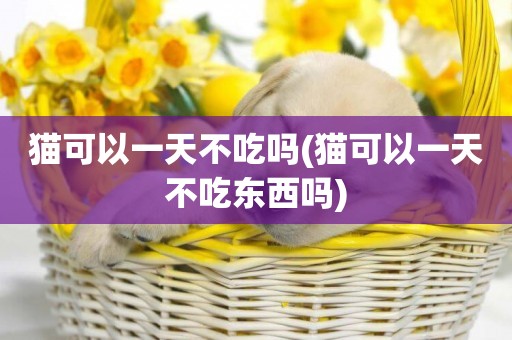 貓可以一天不吃嗎(貓可以一天不吃東西嗎)