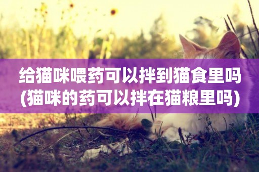 給貓咪喂藥可以拌到貓食里嗎(貓咪的藥可以拌在貓糧里嗎)