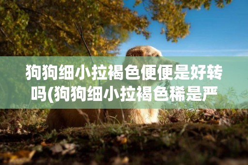狗狗細小拉褐色便便是好轉嗎(狗狗細小拉褐色稀是嚴重嘛)
