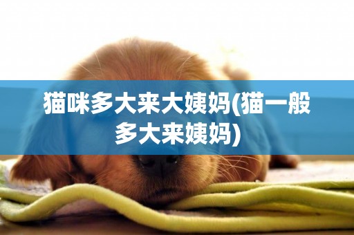 貓咪多大來大姨媽(貓一般多大來姨媽)