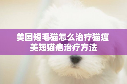 美國短毛貓怎么治療貓瘟 美短貓瘟治療方法