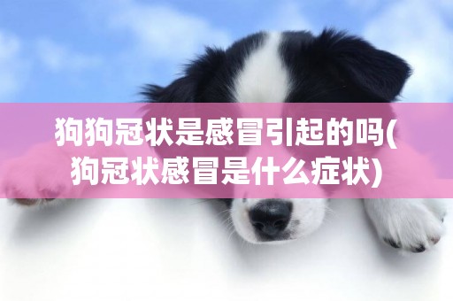 狗狗冠狀是感冒引起的嗎(狗冠狀感冒是什么癥狀)