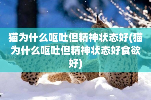 貓為什么嘔吐但精神狀態好(貓為什么嘔吐但精神狀態好食欲好)