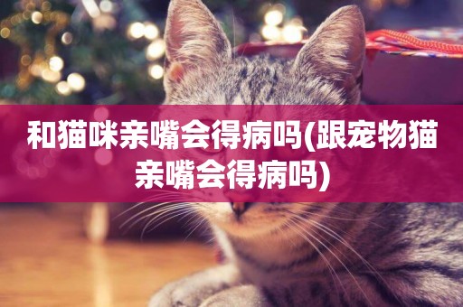 和貓咪親嘴會得病嗎(跟寵物貓親嘴會得病嗎)