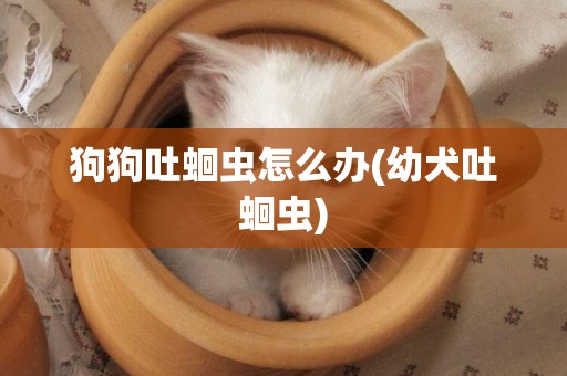 狗狗吐蛔蟲怎么辦(幼犬吐蛔蟲)