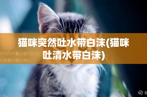 貓咪突然吐水帶白沫(貓咪吐清水帶白沫)