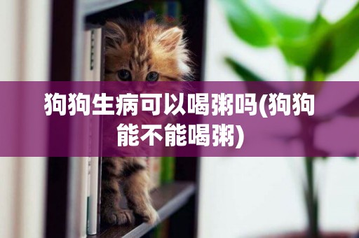 狗狗生病可以喝粥嗎(狗狗能不能喝粥)