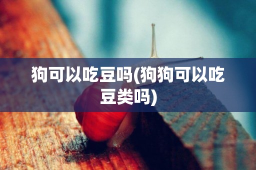 狗可以吃豆嗎(狗狗可以吃豆類嗎)