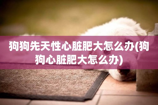 狗狗先天性心臟肥大怎么辦(狗狗心臟肥大怎么辦)