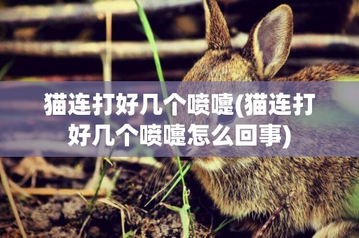 貓連打好幾個噴嚏(貓連打好幾個噴嚏怎么回事)