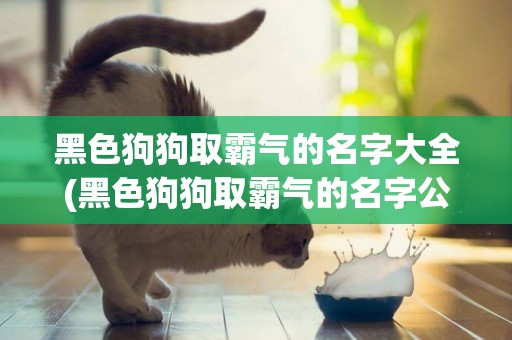 黑色狗狗取霸氣的名字大全(黑色狗狗取霸氣的名字公母)