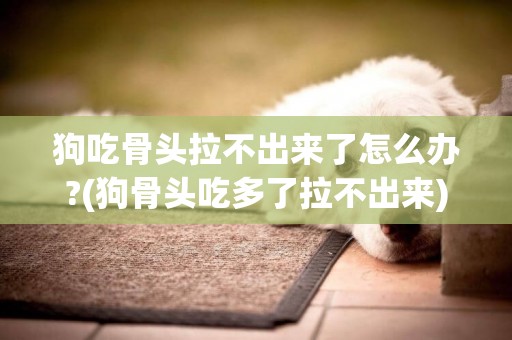 狗吃骨頭拉不出來了怎么辦?(狗骨頭吃多了拉不出來)