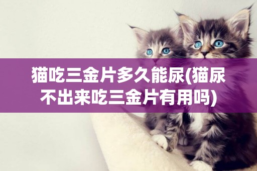貓吃三金片多久能尿(貓尿不出來吃三金片有用嗎)