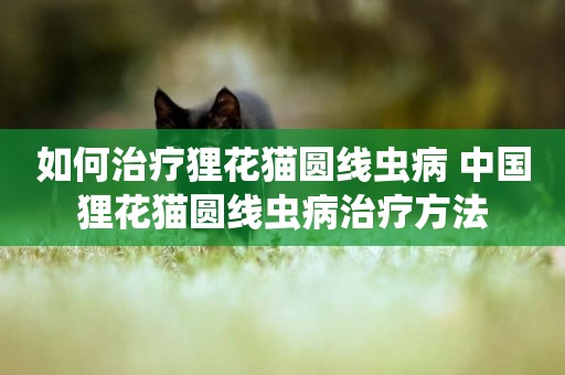 如何治療貍花貓圓線蟲病 中國貍花貓圓線蟲病治療方法