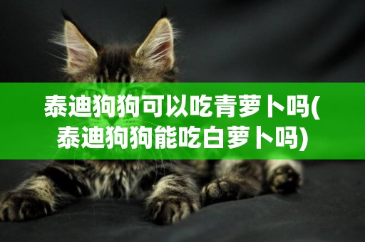 泰迪狗狗可以吃青蘿卜嗎(泰迪狗狗能吃白蘿卜嗎)