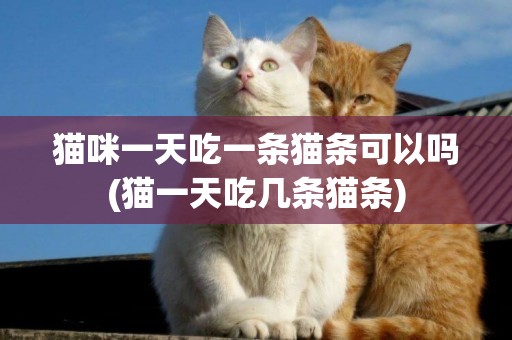 貓咪一天吃一條貓條可以嗎(貓一天吃幾條貓條)