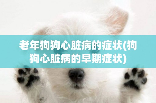 老年狗狗心臟病的癥狀(狗狗心臟病的早期癥狀)