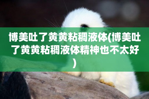 博美吐了黃黃粘稠液體(博美吐了黃黃粘稠液體精神也不太好)