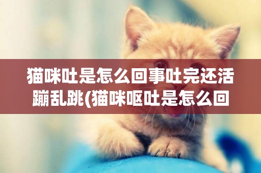貓咪吐是怎么回事吐完還活蹦亂跳(貓咪嘔吐是怎么回事?)