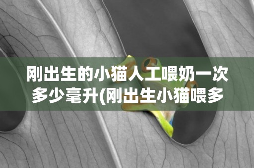 剛出生的小貓人工喂奶一次多少毫升(剛出生小貓喂多少毫升奶)