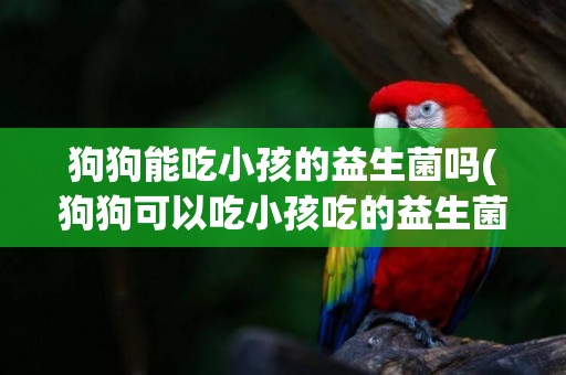 狗狗能吃小孩的益生菌嗎(狗狗可以吃小孩吃的益生菌嗎)